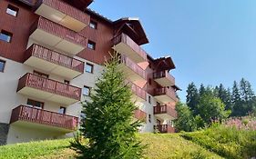 Appartement 4 Personnes Avec Piscine Interieure